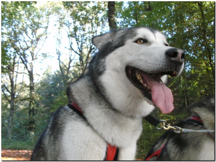 Tour Odenwald 095.jpg